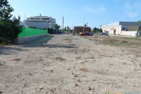 Terra a Oliva, Valencia, Oliva - € 177.000 | Ref: PNPT213 - foto 2