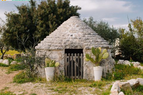 Villa a Ostuni, Brindisi, Ostuni - € 1.300.000 | Ref: 602 - foto 39
