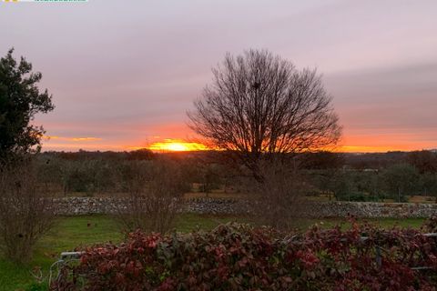 Villa a Ostuni, Brindisi, Ostuni - € 1.300.000 | Ref: 602 - foto 42