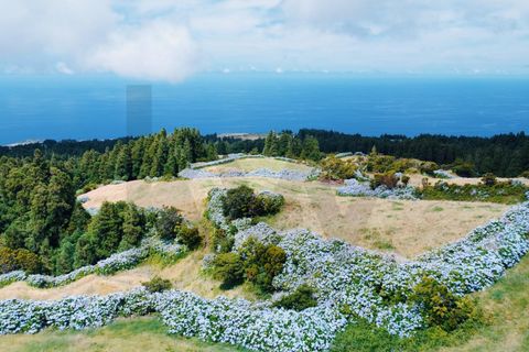 Helårsgrund i Horta, Faial, Horta - € 330.000 | Ref: KWPT-028272 - foto 8