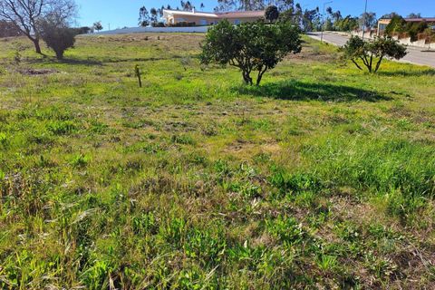 Helårsgrund i Leiria, Leiria, Leiria - € 76.200 | Ref: KWPT-029700 - foto 5