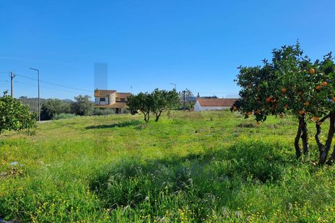 Helårsgrund i Leiria, Leiria, Leiria - € 76.200 | Ref: KWPT-029700 - foto 6