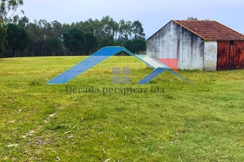 Farm hus i Coruche, Santarem, Coruche - € 200.000 | Ref: 1238Branca - foto 2