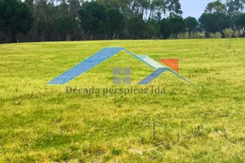 Farm hus i Coruche, Santarem, Coruche - € 200.000 | Ref: 1238Branca - foto 3