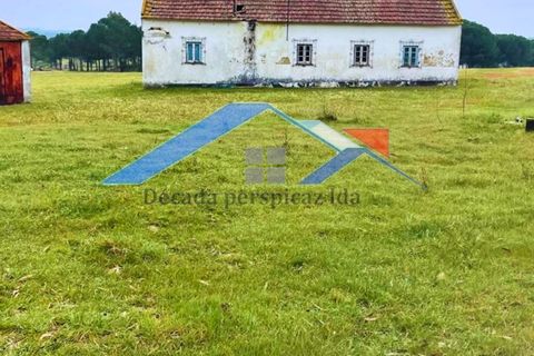 Farm hus i Coruche, Santarem, Coruche - € 200.000 | Ref: 1238Branca - foto 5