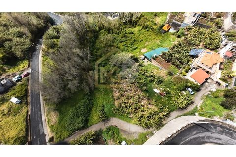 Helårsgrund i Ribeira Brava, Madeira, Ribeira Brava - € 65.000 | Ref: SÒL_112 - foto 3