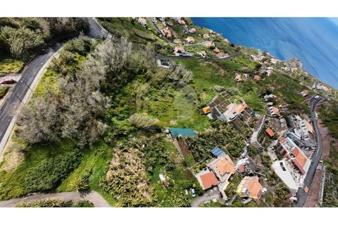 Helårsgrund i Ribeira Brava, Madeira, Ribeira Brava - € 65.000 | Ref: SÒL_112 - foto 1