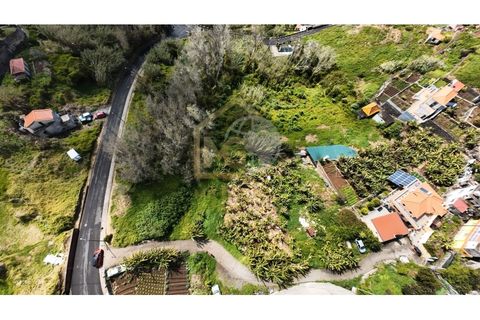Helårsgrund i Ribeira Brava, Madeira, Ribeira Brava - € 65.000 | Ref: SÒL_112 - foto 7