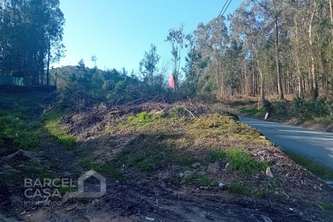 Helårsgrund i Barcelos, Braga, Barcelos - € 129.000 | Ref: 61/26 - foto 3