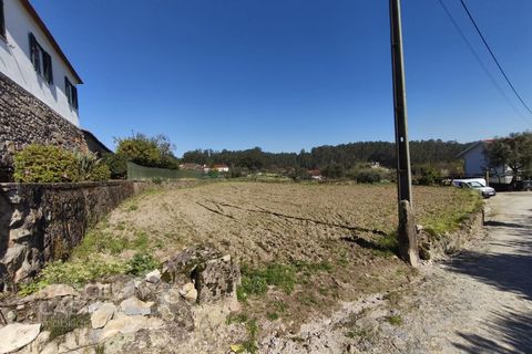 Terra a Alvito, Beja, Alvito - € 75.000 | Ref: 72/26 - foto 2