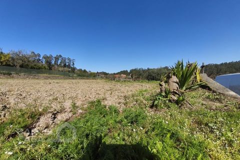 Terra a Alvito, Beja, Alvito - € 75.000 | Ref: 72/26 - foto 3