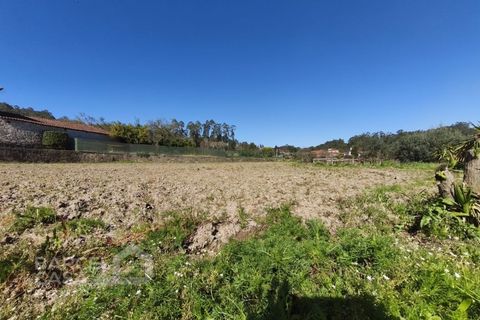 Terra a Alvito, Beja, Alvito - € 75.000 | Ref: 72/26 - foto 4