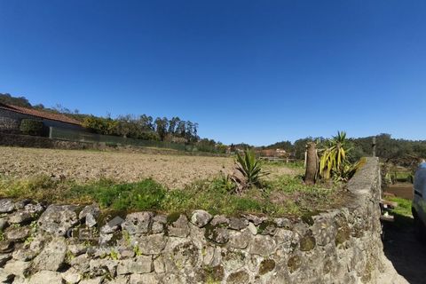 Terra a Alvito, Beja, Alvito - € 75.000 | Ref: 72/26 - foto 5
