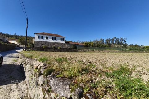 Terra a Alvito, Beja, Alvito - € 75.000 | Ref: 72/26 - foto 6