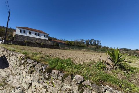 Terra a Alvito, Beja, Alvito - € 75.000 | Ref: 72/26 - foto 7
