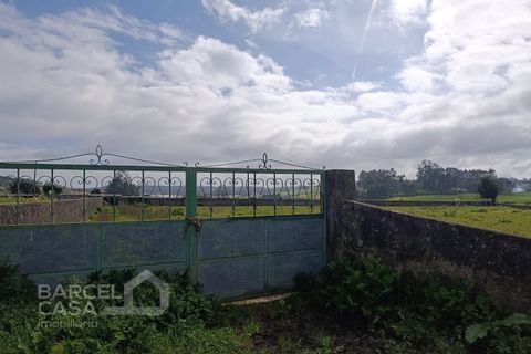 Helårsgrund i Cristelo, Braga, Cristelo - € 80.000 | Ref: 70/26 - foto 4