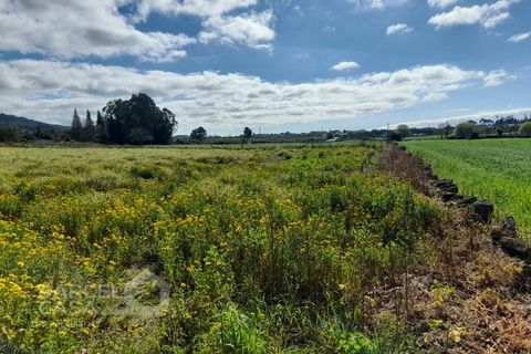 Terra a Gilmonde, Braga, Gilmonde - € 47.500 | Ref: 71/26 - foto 3