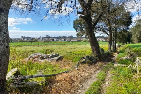 Terra a Gilmonde, Braga, Gilmonde - € 47.500 | Ref: 71/26 - foto 4