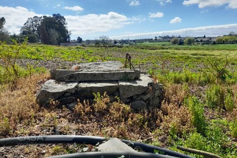Terra a Gilmonde, Braga, Gilmonde - € 47.500 | Ref: 71/26 - foto 5
