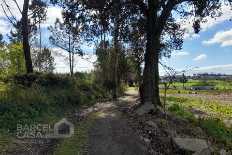Terra a Gilmonde, Braga, Gilmonde - € 47.500 | Ref: 71/26 - foto 6