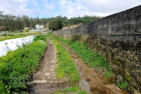 Helårsgrund i Cristelo, Braga, Cristelo - € 15.000 | Ref: 69/26 - foto 2