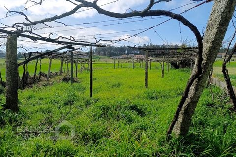 Helårsgrund i Cristelo, Braga, Cristelo - € 15.000 | Ref: 69/26 - foto 3