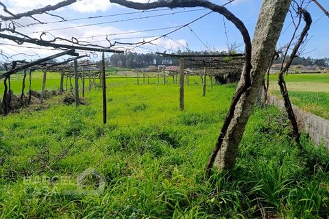 Helårsgrund i Cristelo, Braga, Cristelo - € 15.000 | Ref: 69/26 - foto 4