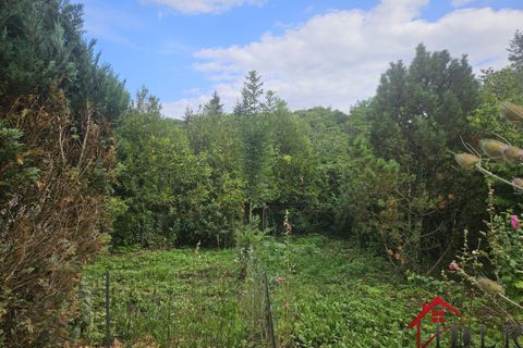 Villa i Bourbonne-les-Bains, Haute-Marne, Bourbonne-les-Bains - € 68.000 | Ref: 62_735 - foto 11