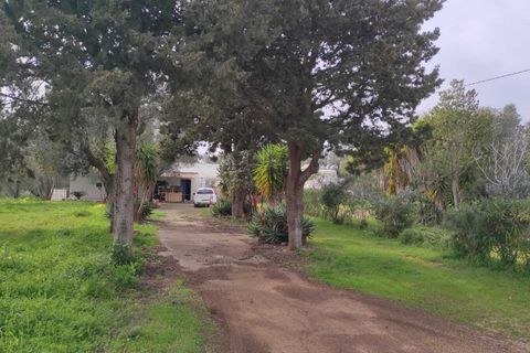 Villa i Ostuni, Brindisi, Ostuni - € 150.000 | Ref: 935 - foto 3