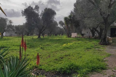 Villa i Ostuni, Brindisi, Ostuni - € 150.000 | Ref: 935 - foto 4