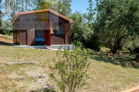 Villa a Quelfes, Faro, Quelfes - € 1.350.000 | Ref: PALC_202 - foto 38