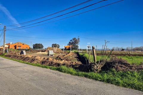 Helårsgrund i Aveiro, Aveiro, Aveiro - € 170.000 | Ref: AV2846 - foto 6