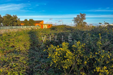 Helårsgrund i Aveiro, Aveiro, Aveiro - € 170.000 | Ref: AV2846 - foto 10