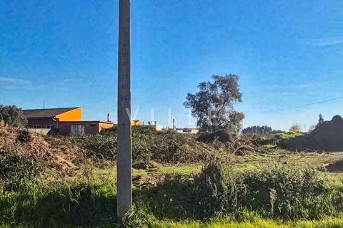 Helårsgrund i Aveiro, Aveiro, Aveiro - € 170.000 | Ref: AV2846 - foto 12