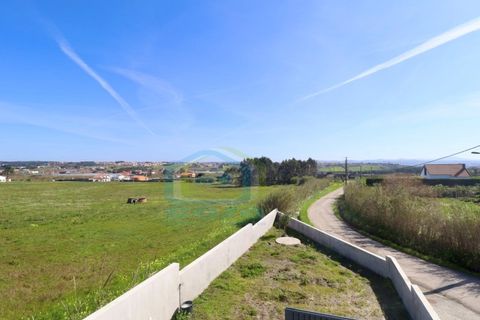 Villa i Torres Vedras, Lisbon, Torres Vedras - € 690.000 | Ref: HAB_236 - foto 37