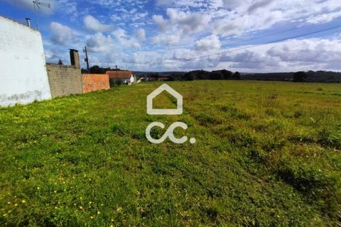 Helårsgrund i Monte Real, Leiria, Monte Real - € 30.000 | Ref: 235/T/01631 - foto 4