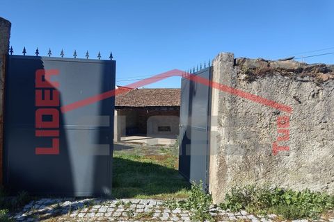 Villa i Mirandela, Braganca, Mirandela - € 85.000 | Ref: 0968 - foto 9