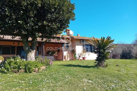 Villa a Sutri, Viterbo, Sutri - € 390.000 | Ref: CBI034-30-286 - foto 21