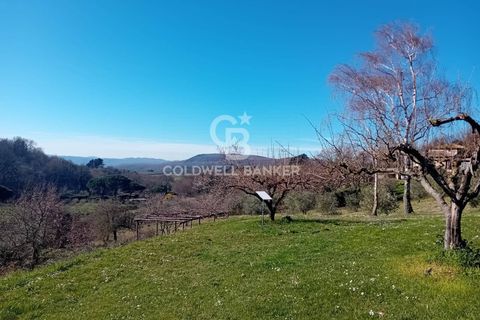 Villa a Sutri, Viterbo, Sutri - € 390.000 | Ref: CBI034-30-286 - foto 22