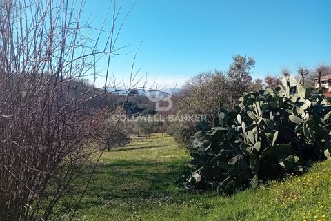 Villa a Sutri, Viterbo, Sutri - € 390.000 | Ref: CBI034-30-286 - foto 24