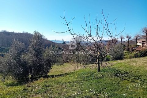 Villa a Sutri, Viterbo, Sutri - € 390.000 | Ref: CBI034-30-286 - foto 28