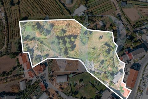 Farm i Guimaraes, Braga, Guimaraes - € 290.000 | Ref: 3-4 - foto 1