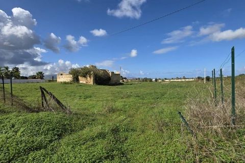 Landejendom i Partinico, Palermo, Partinico - € 420.000 | Ref: Partinico Contrada Bosco Falconeria - foto 3