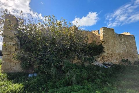 Landejendom i Partinico, Palermo, Partinico - € 420.000 | Ref: Partinico Contrada Bosco Falconeria - foto 6