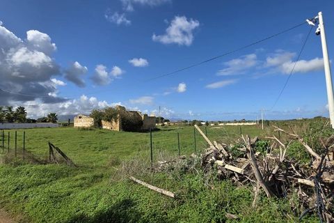 Landejendom i Partinico, Palermo, Partinico - € 420.000 | Ref: Partinico Contrada Bosco Falconeria - foto 9