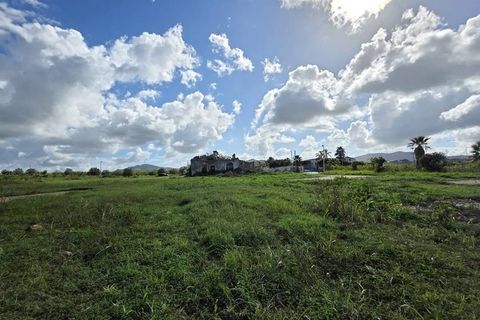 Landejendom i Partinico, Palermo, Partinico - € 420.000 | Ref: Partinico Contrada Bosco Falconeria - foto 10