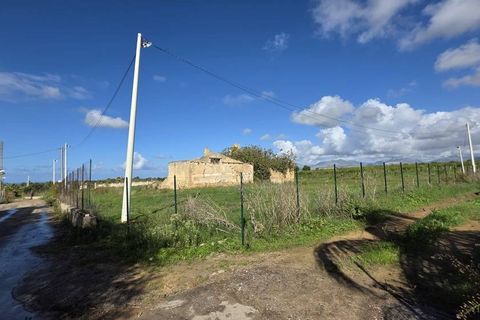 Landejendom i Partinico, Palermo, Partinico - € 420.000 | Ref: Partinico Contrada Bosco Falconeria - foto 11