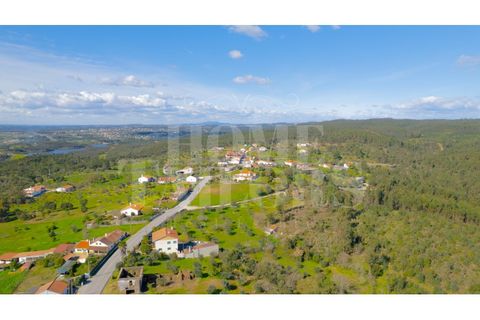 Villa i Tomar, Santarem, Tomar - € 572.000 | Ref: HT_50230 - foto 48