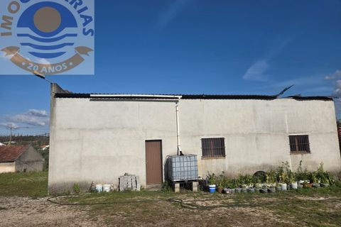 Helårsgrund i Gondemaria e Olival, Santarem, Gondemaria e Olival - € 120.000 | Ref: TER_799 - foto 7