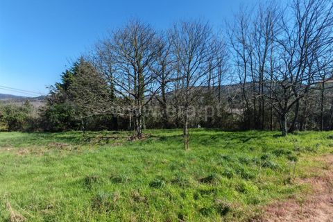 Helårsgrund i Mangualde, Viseu, Mangualde - € 53.000 | Ref: 389260037 - foto 2